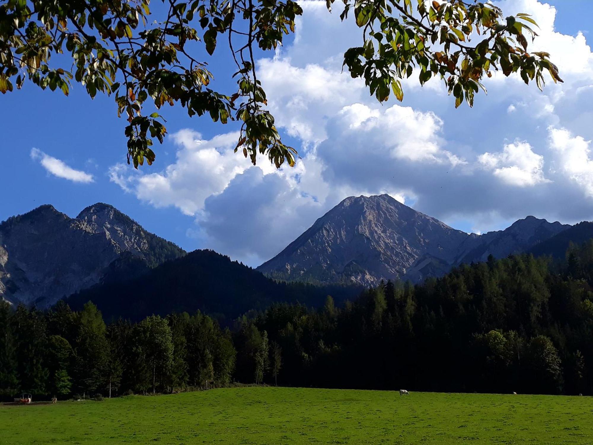 Ding Ding Daire Unteraichwald Dış mekan fotoğraf